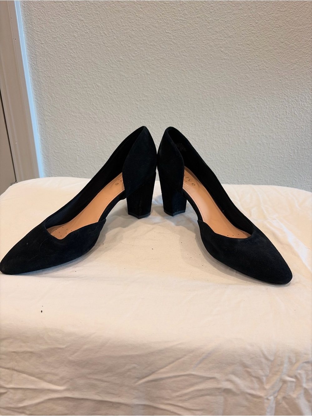 Women's Black Suede Pointed Toe Block Heel Pumps